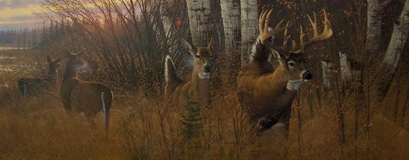 Header Image